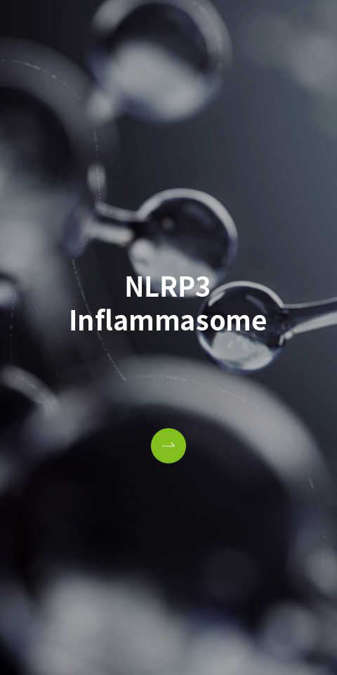 NLRP3 Inflammasome 바로가기
