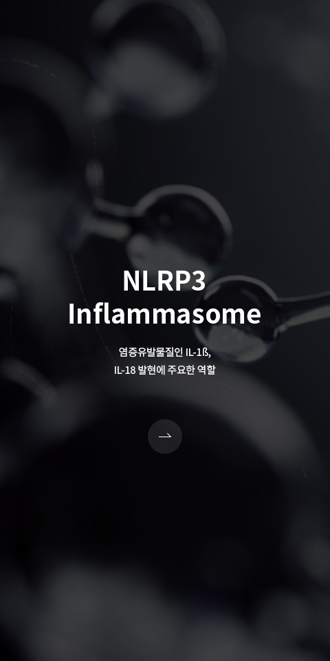 NLRP3 Inflammasome 바로가기