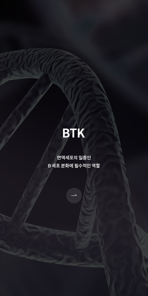 BTK 바로가기