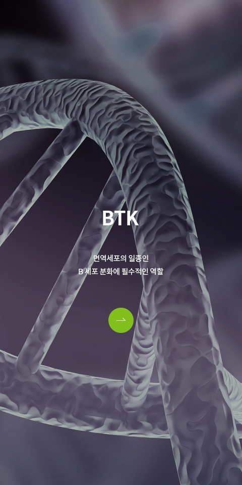 BTK 바로가기