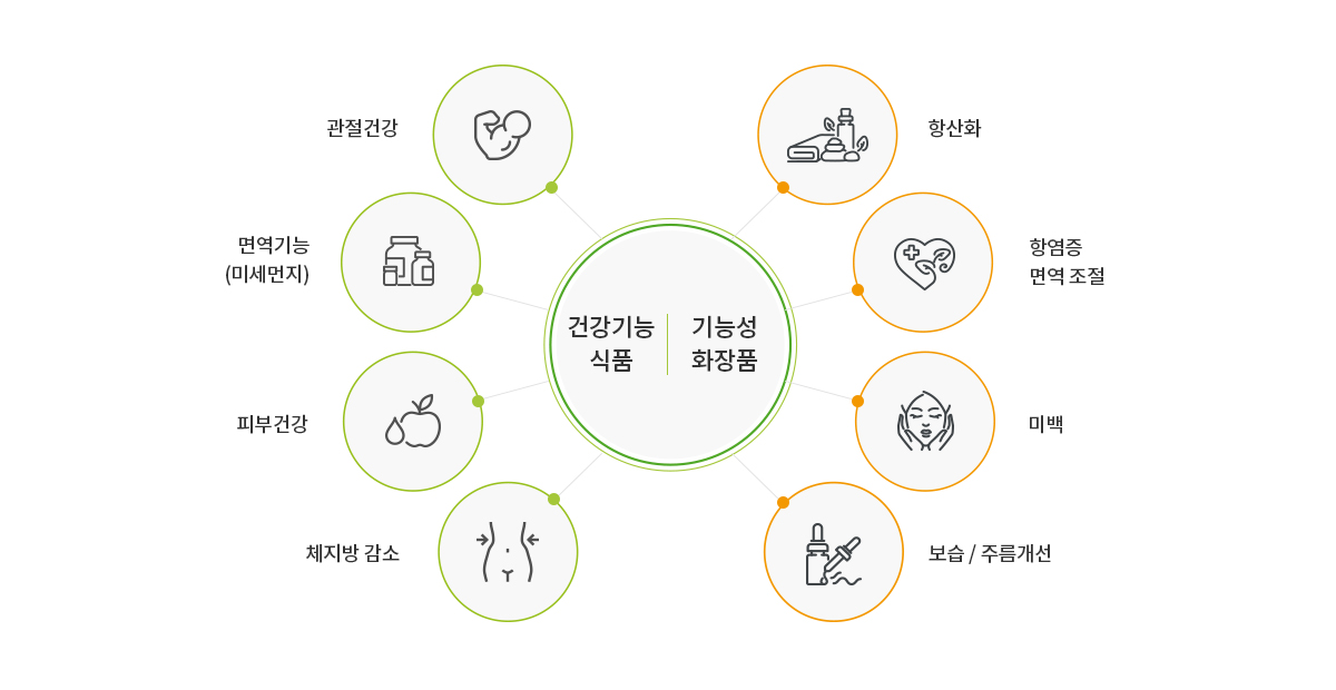 건강기능식품